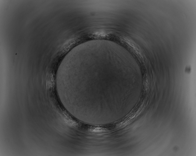 X0000099990467200806201454