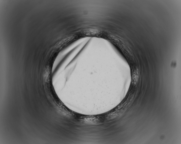 X0000099990468200806201454