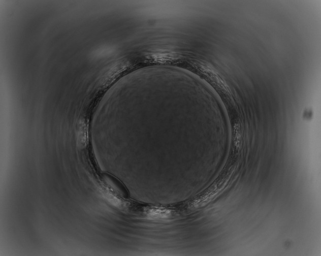 X0000099990471200806201454