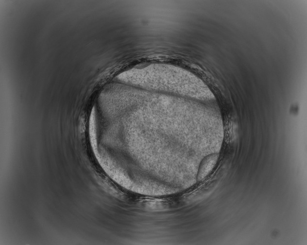 X0000099990472200806201454