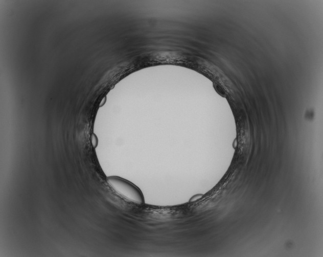 X0000099990473200806201454