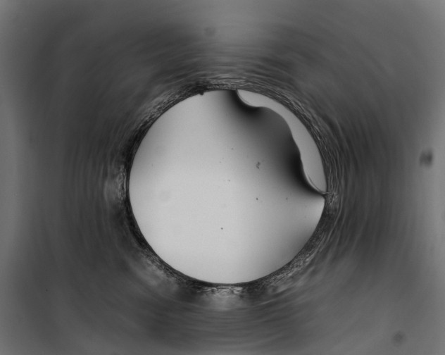 X0000099990474200806201454