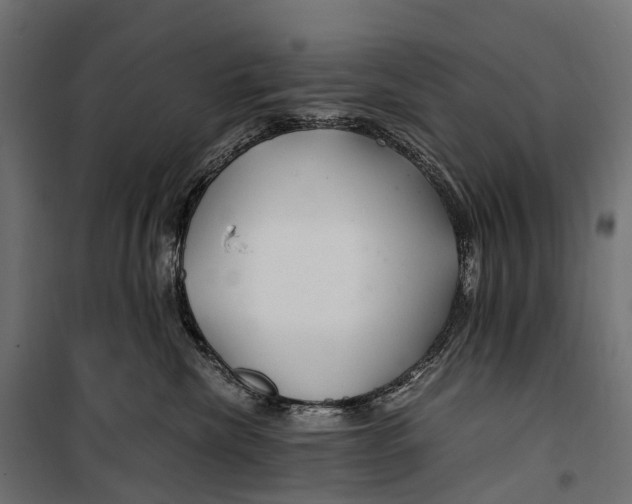 X0000099990476200806201454