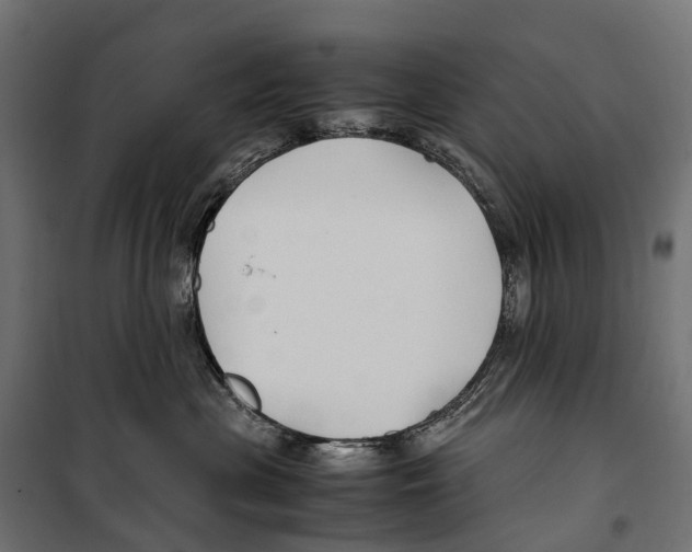 X0000099990477200806201454