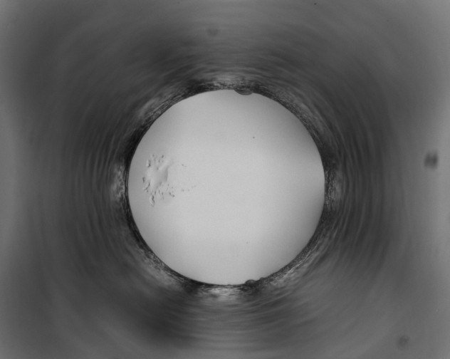 X0000099990478200806201454