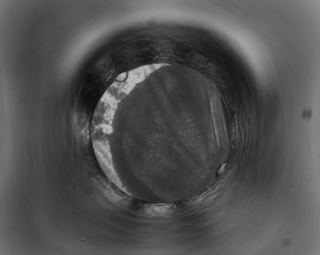 X0000099990479200806201454