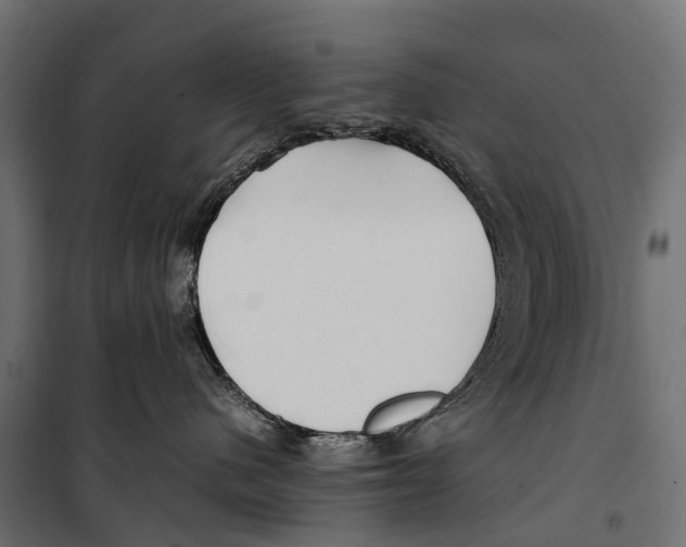 X0000099990480200806201454