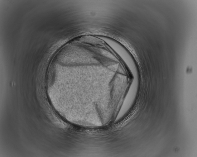 X0000099990481200806201453