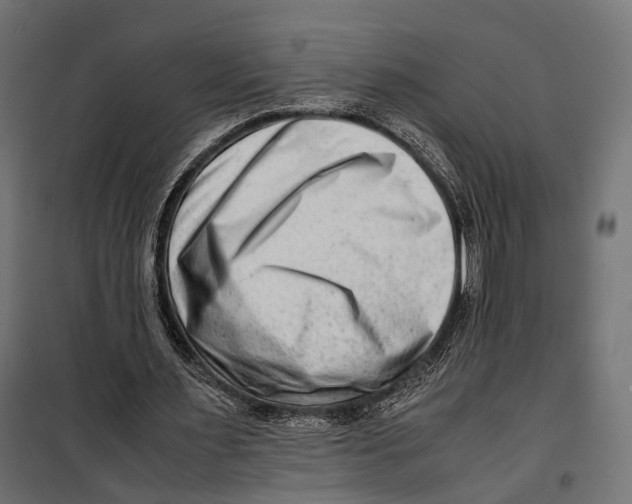 X0000099990483200806201453