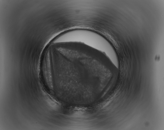 X0000099990484200806201453