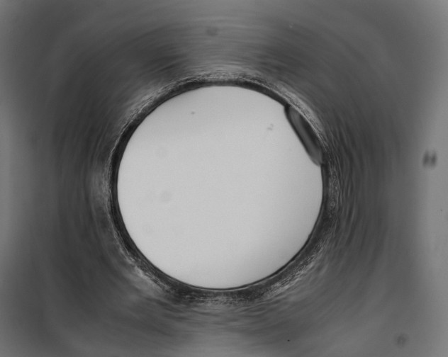 X0000099990485200806201453