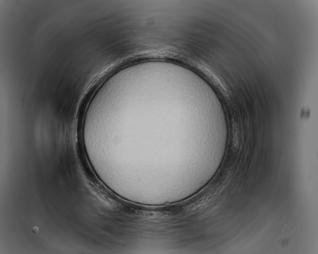 X0000099990486200806201453