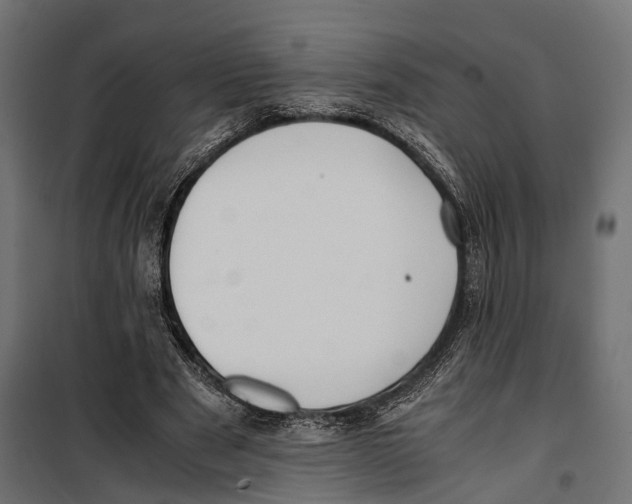 X0000099990489200806201453