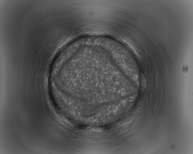 X0000099990491200806201453