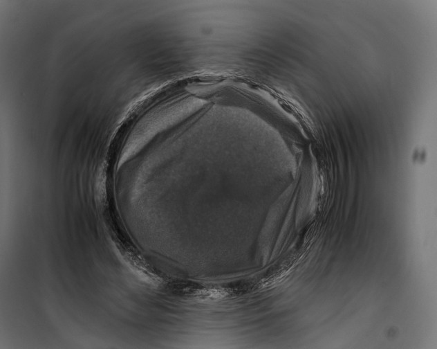 X0000099990492200806201453