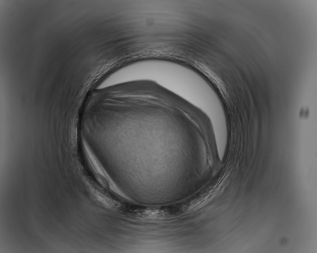 X0000099990493200806201453