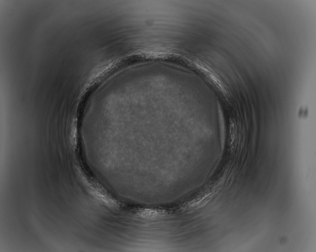 X0000099990494200806201453