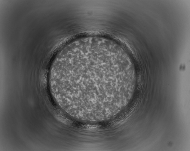 X0000099990495200806201453