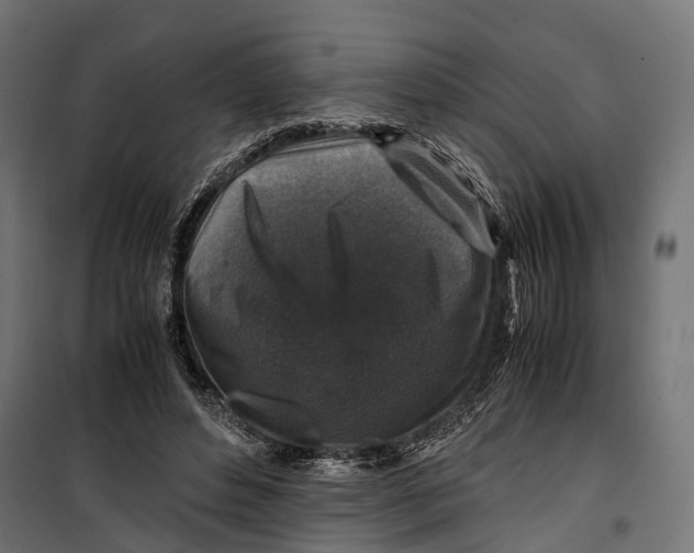 X0000099990496200806201453