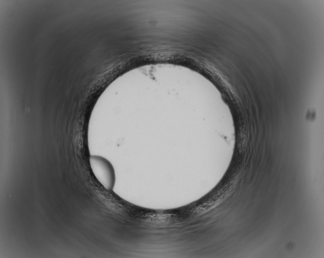 X0000099990497200806201453