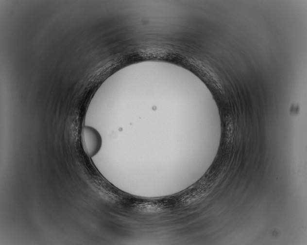 X0000099990498200806201453