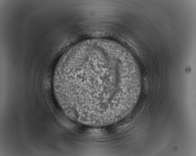 X0000099990499200806201453