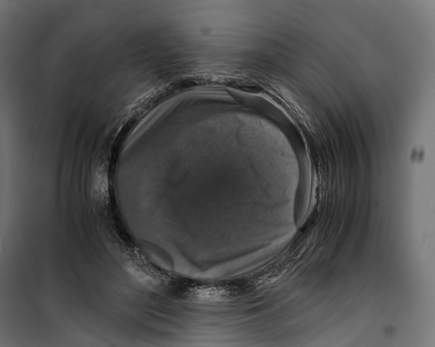 X0000099990500200806201453