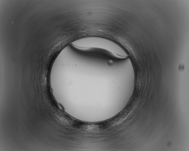 X0000099990501200806201453