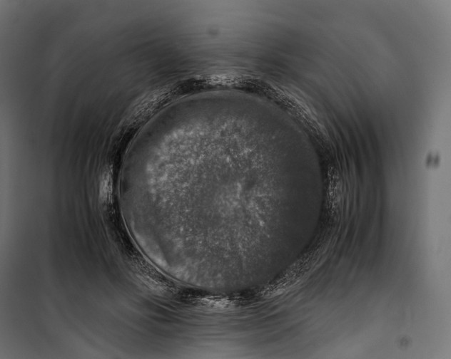 X0000099990502200806201453