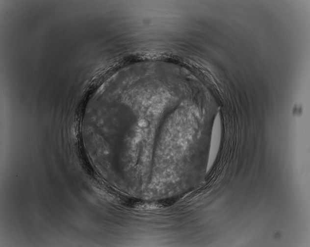 X0000099990503200806201453