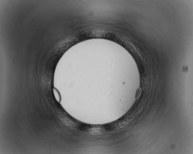 X0000099990505200806201453