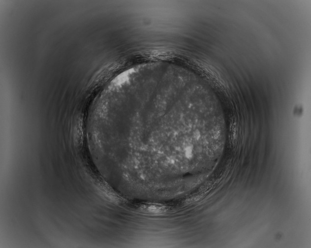 X0000099990506200806201453