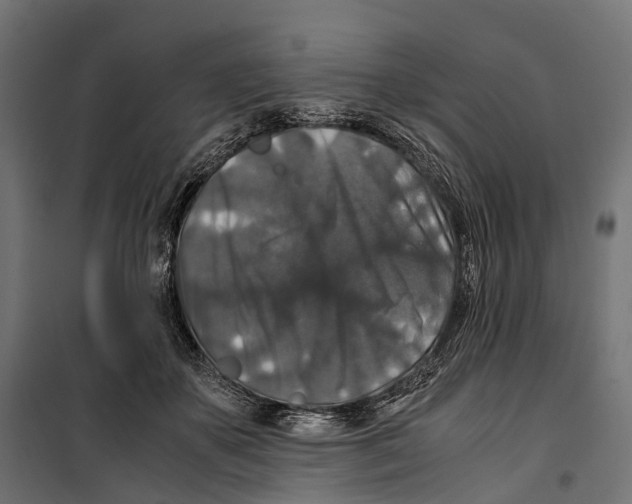 X0000099990507200806201453