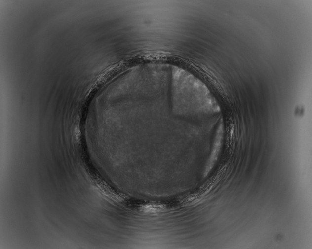 X0000099990508200806201453