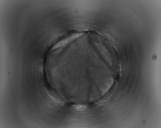 X0000099990512200806201453