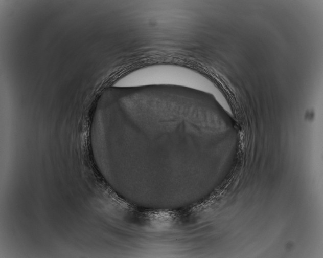 X0000099990513200806201453