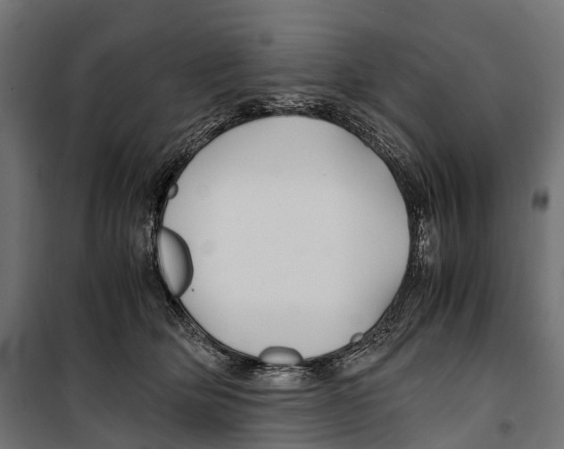 X0000099990514200806201453