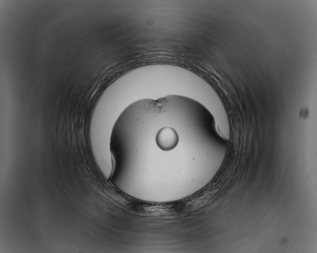 X0000099990516200806201453