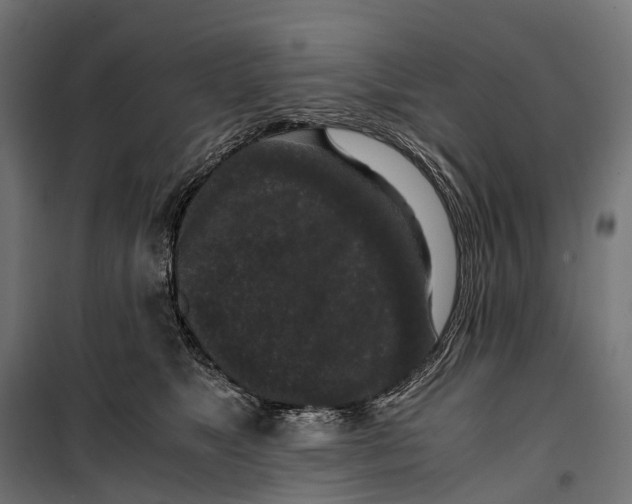 X0000099990517200806201453