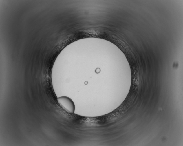 X0000099990518200806201453