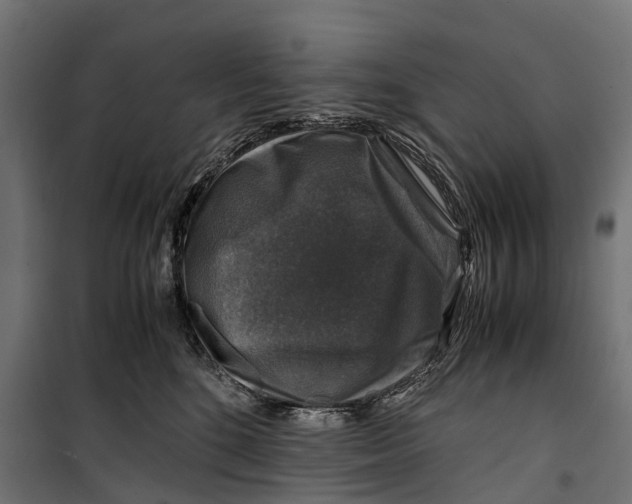 X0000099990520200806201453