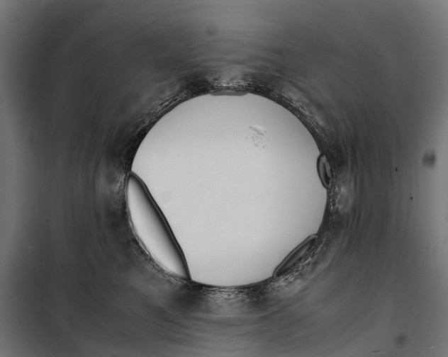 X0000099990521200806201453