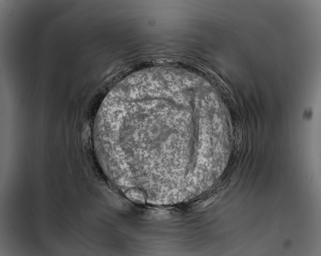 X0000099990523200806201453