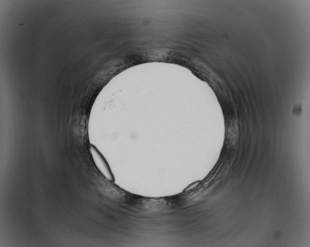 X0000099990525200806201453