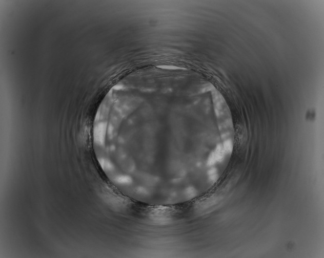 X0000099990527200806201453