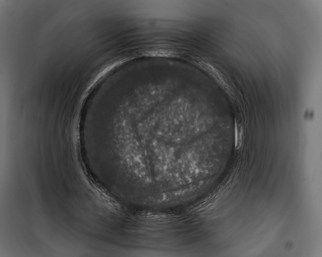 X0000099990531200806201452