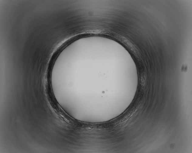 X0000099990532200806201452