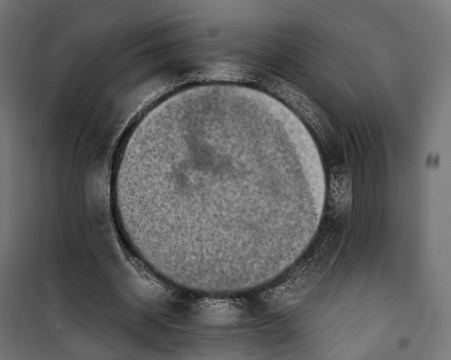 X0000099990534200806201452