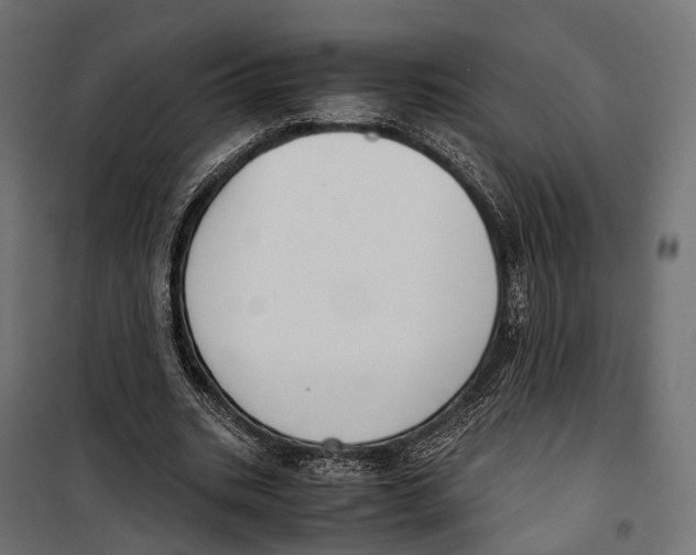 X0000099990535200806201452