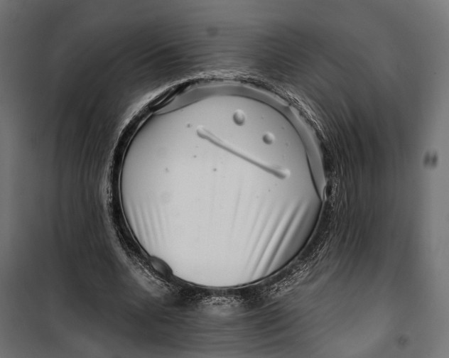 X0000099990536200806201452